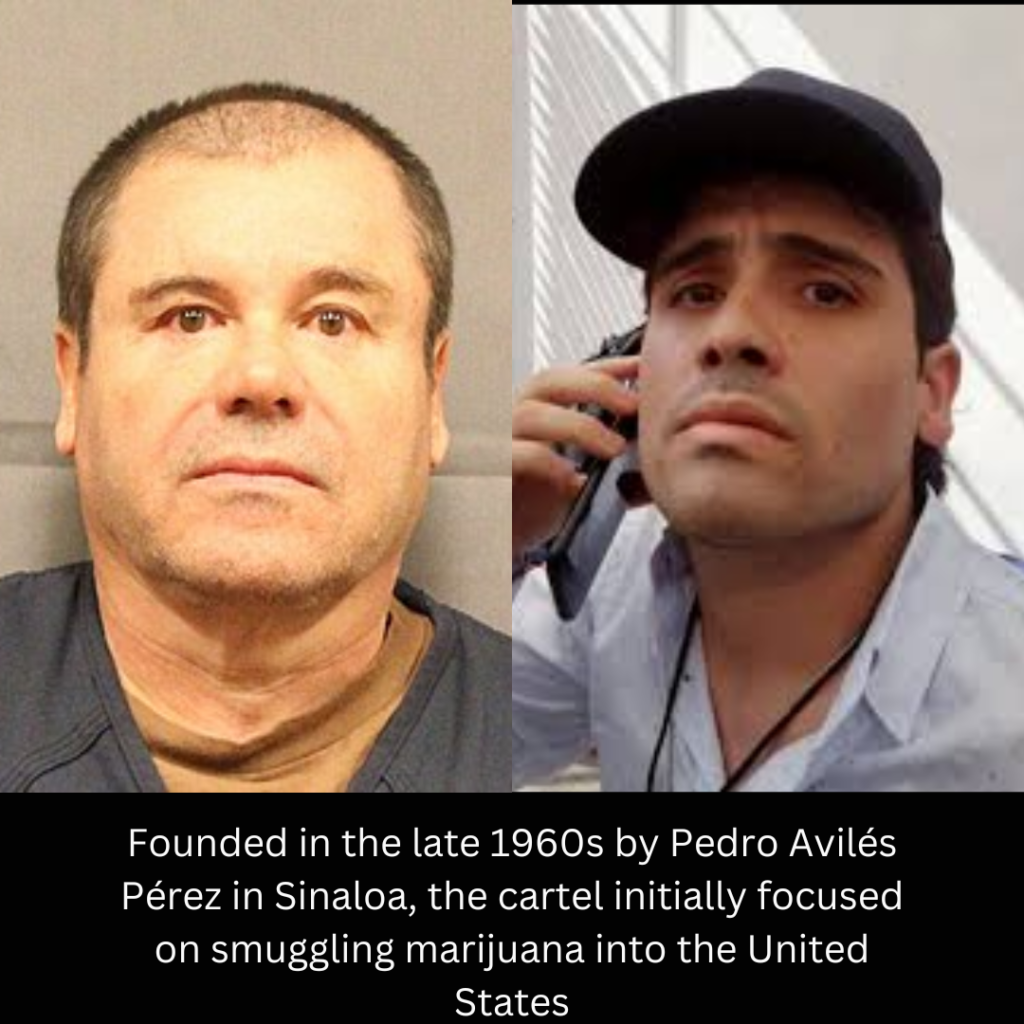 SINALOA CARTEL